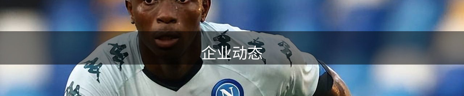 企业动态