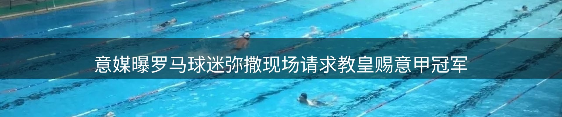 企业动态